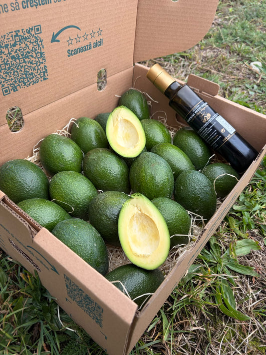 Avocado Bacon
