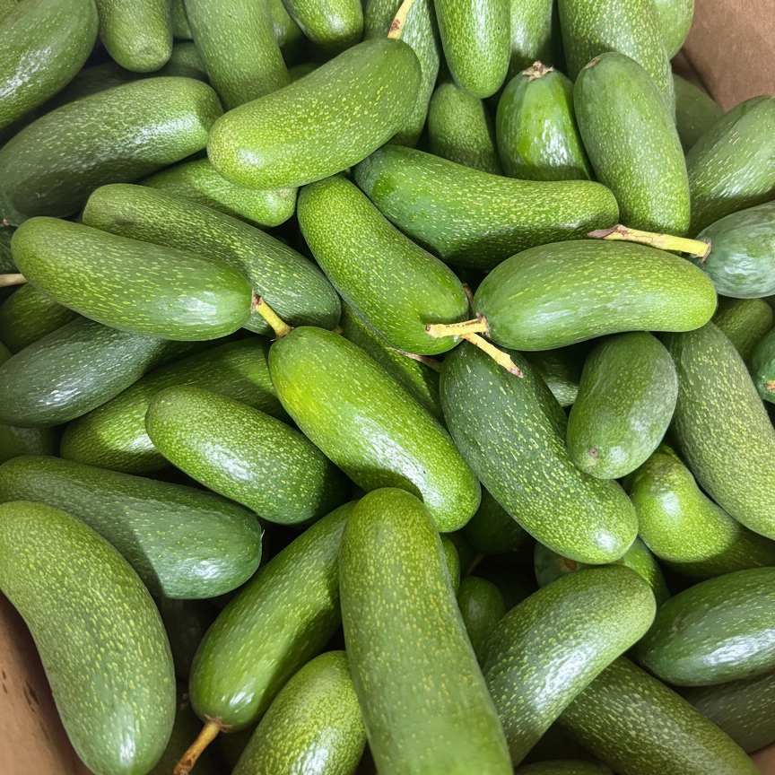 Box with Avocado cocktail. Avocado without seed.