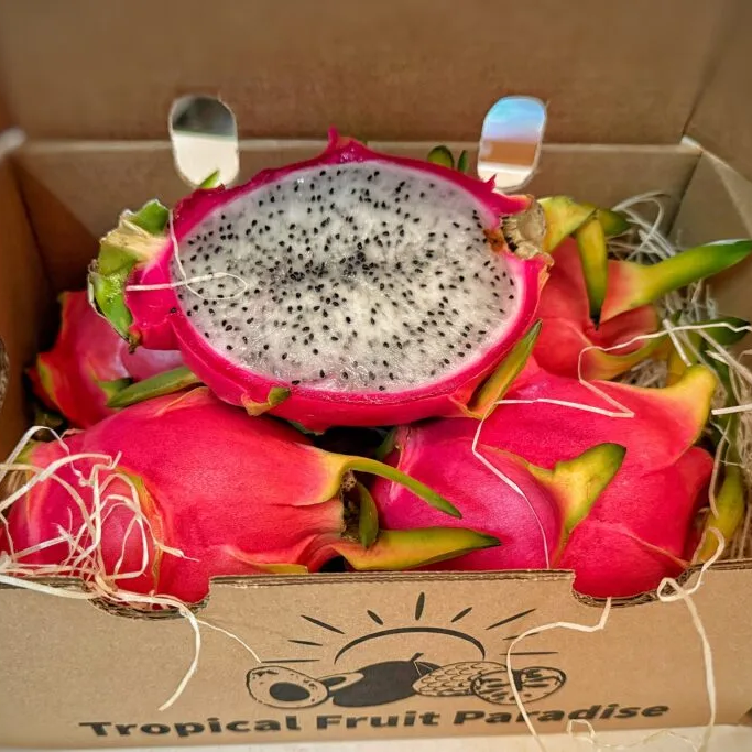 Fresh white dragon fruit (pitahaya), bright pink skin with green fins, halved showing white seeded flesh — Tropical Fruit Paradise