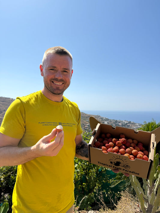 Man holding a box of lychee fruits with a scenic background