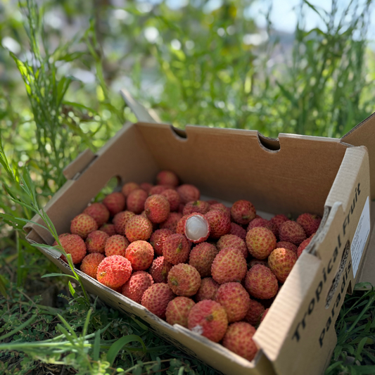 Box of lychees in a natural outdoor setting