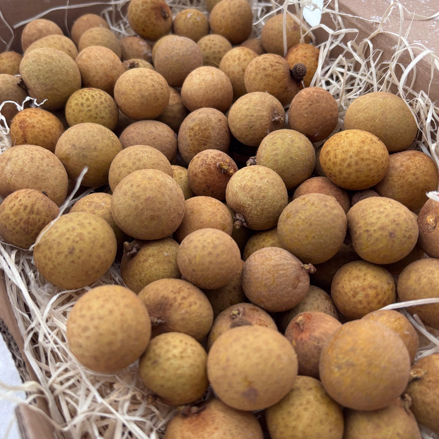 Box of longan fruits on a light blue background