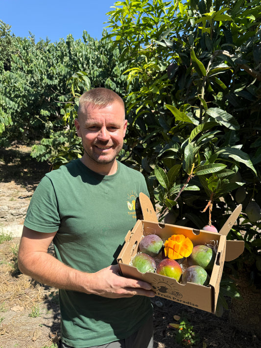 Mango Sensacion