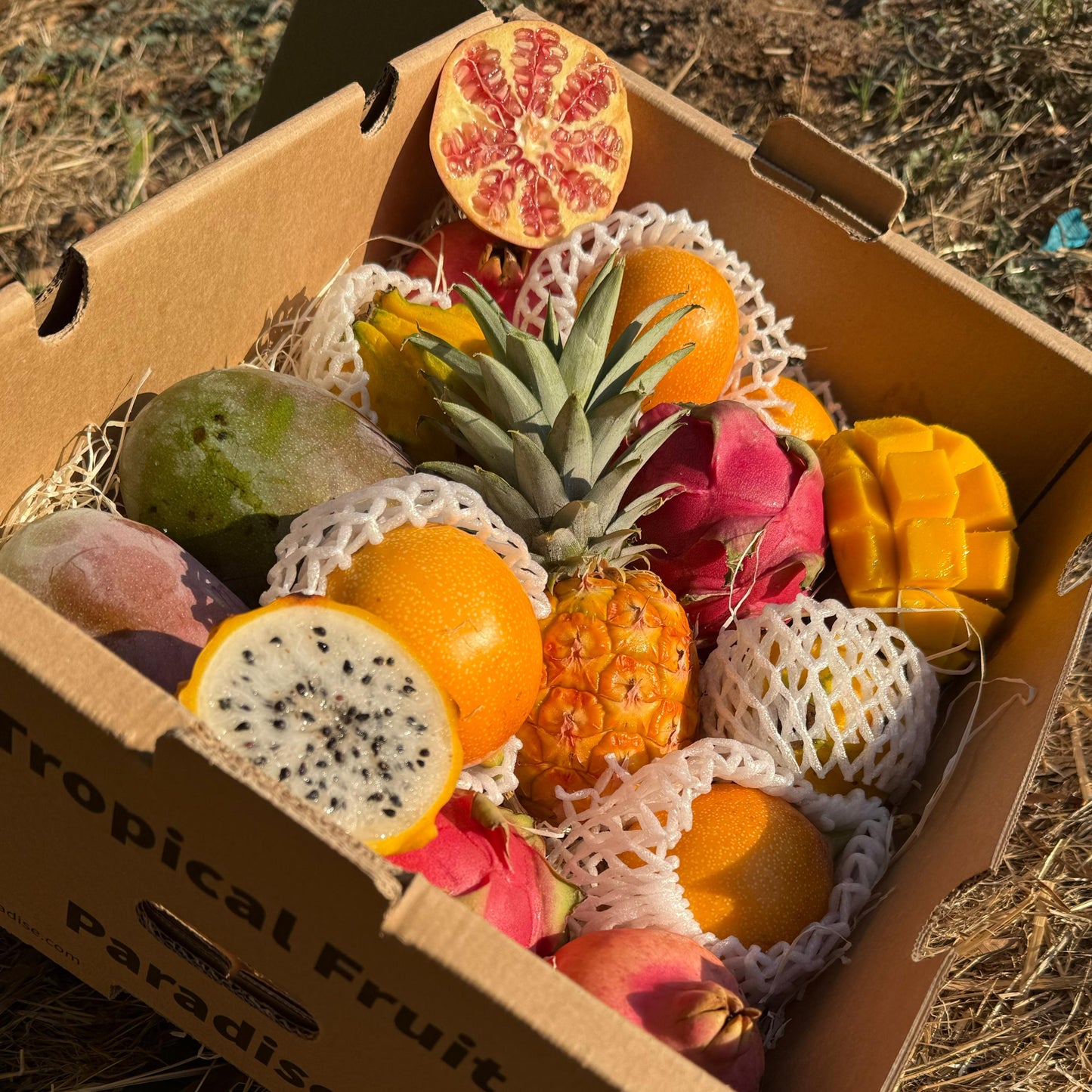Box of tropical fruits on a grassy background