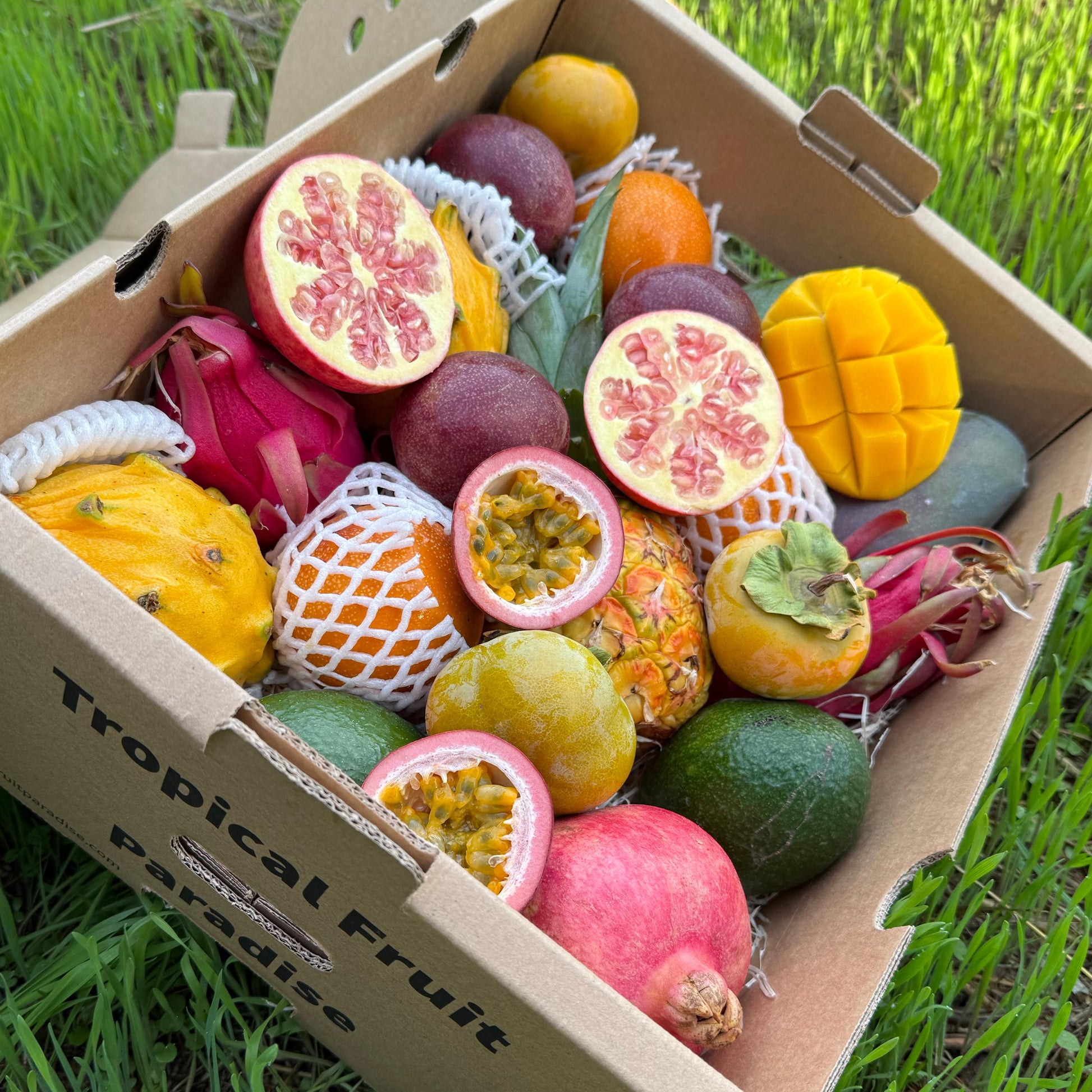 Box of tropical fruits on grass