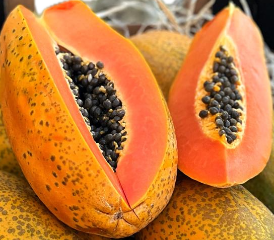 Papaya