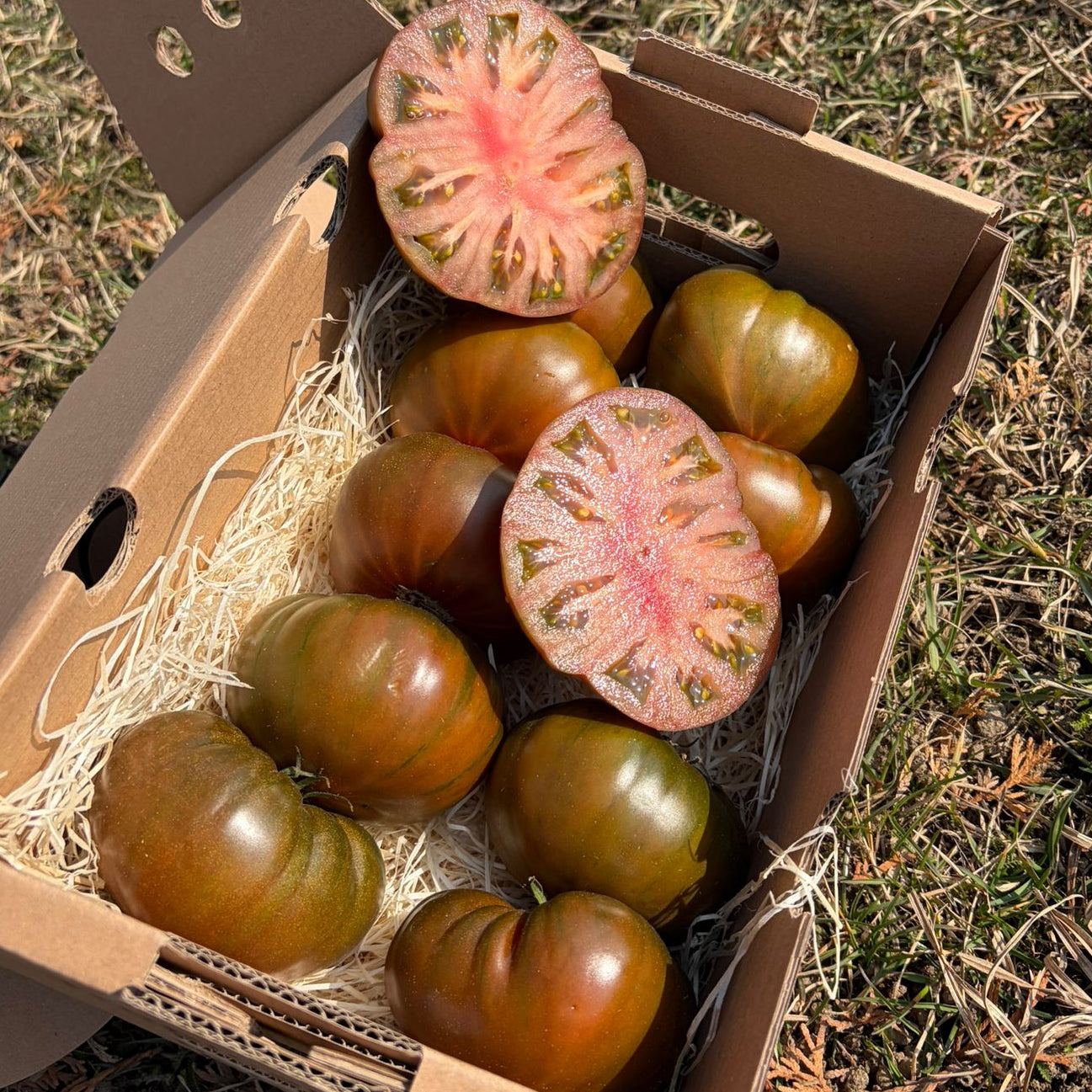 Fresh ribbed Marmande heirloom tomatoes, sliced to show meaty red flesh in a delivery box on grass.