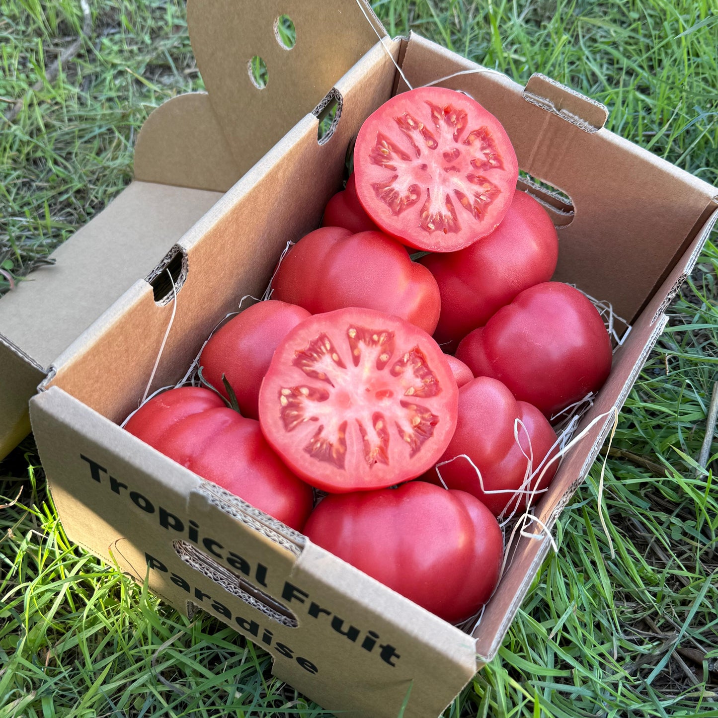 Fresh BIO Rosa tomatoes, pink irregular skin, halved showing meaty pink flesh, in Tropical Fruit Paradise delivery box