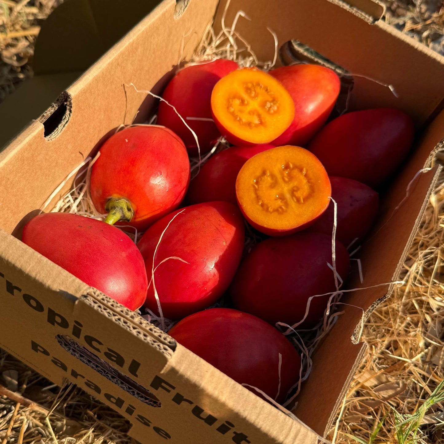 Box of Tamarillo