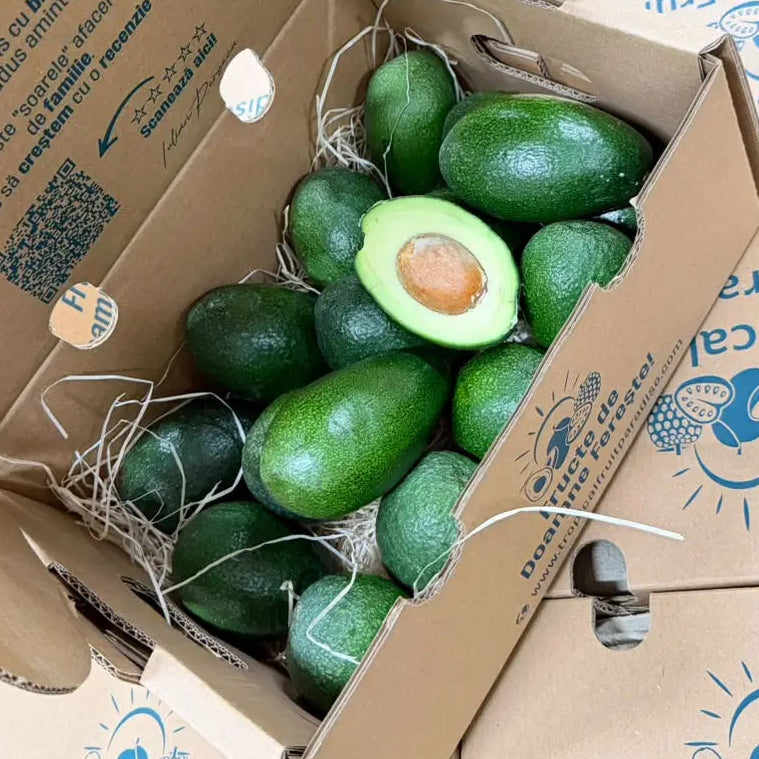 Mini Bacon avocados, smooth skin that stays green when ripe, in a 2 kg Tropical Fruit Paradise box, one halved with pit