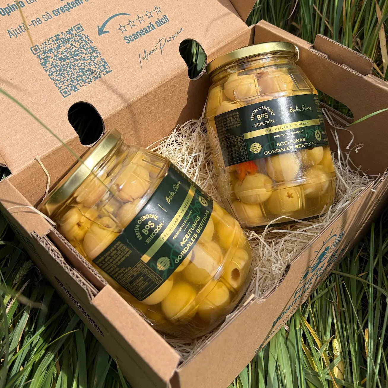 Two large 500g glass jars of premium pitted giant green Gordales Bertinas olives from the BOS Selección range, resting on straw inside a cardboard delivery box on green grass.