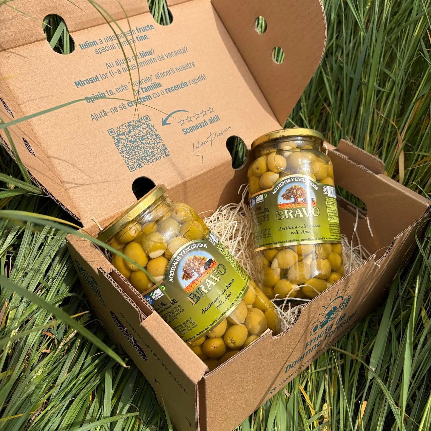 Premium display of 500g green olives stuffed with garlic cloves by Bravo brand, resting on straw inside an open delivery box on a natural grass background.
