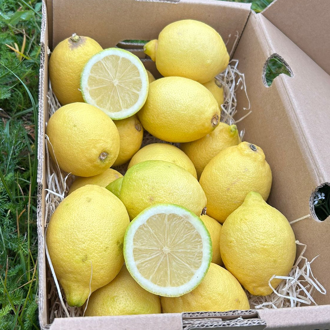 Fresh juicy yellow lemons, sliced to reveal the pulp, resting on straw inside a Tropical Fruit Paradise delivery box on green grass.