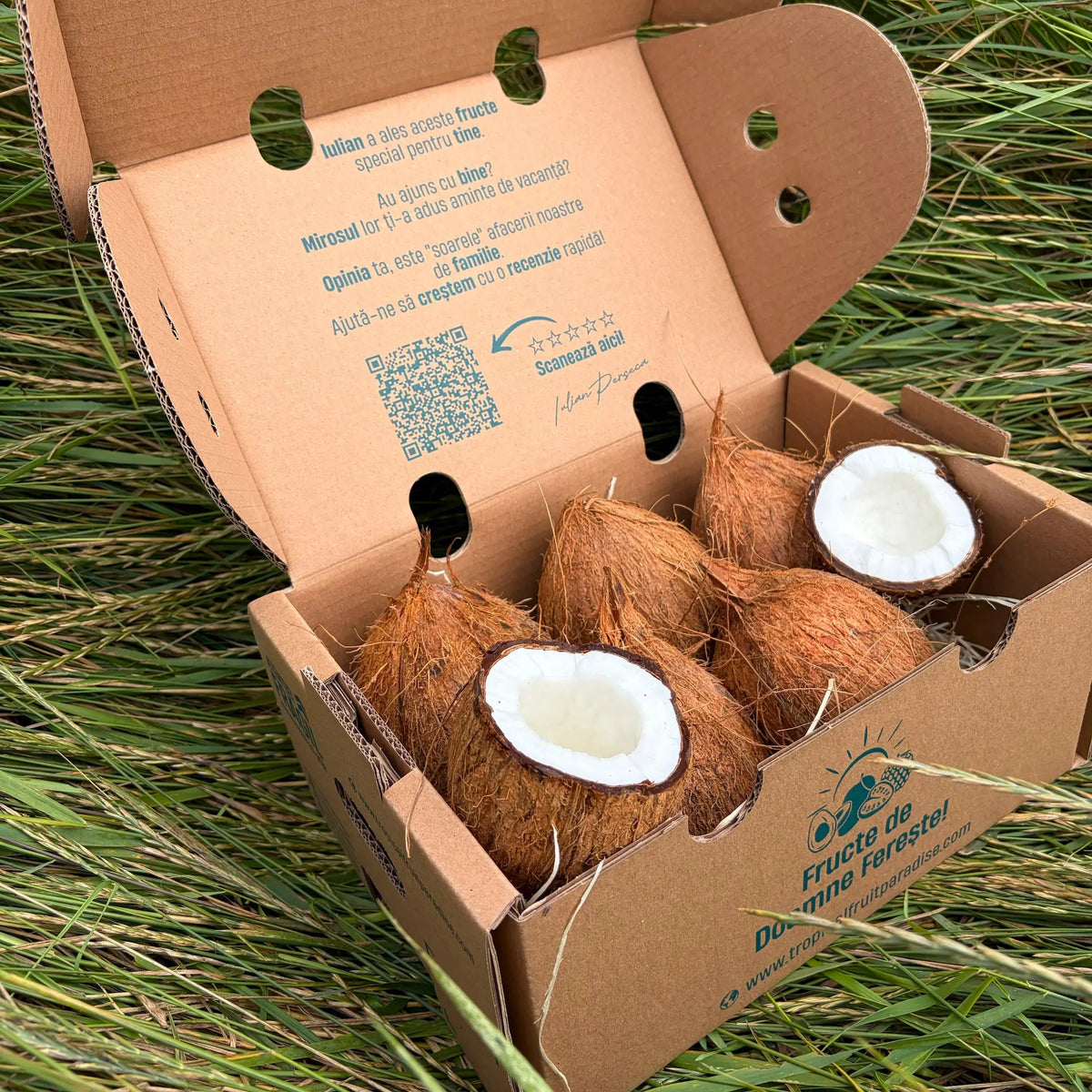 Fresh whole brown fibrous coconuts and two open halves showing the white inner meat, arranged on a straw bed inside a cardboard delivery box on green grass.