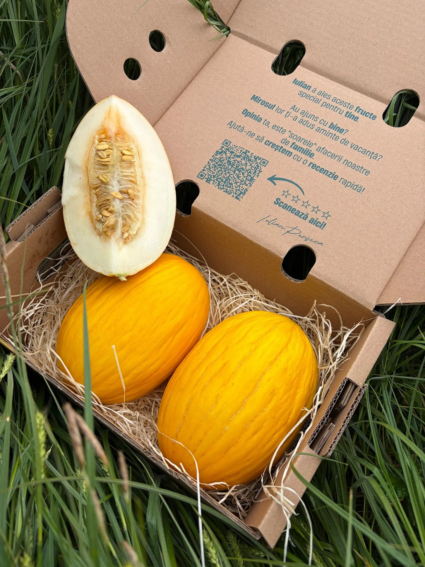 Fresh yellow Canary melons, whole and sliced to reveal juicy white flesh and seeds, resting on straw inside an open premium delivery box on green grass.