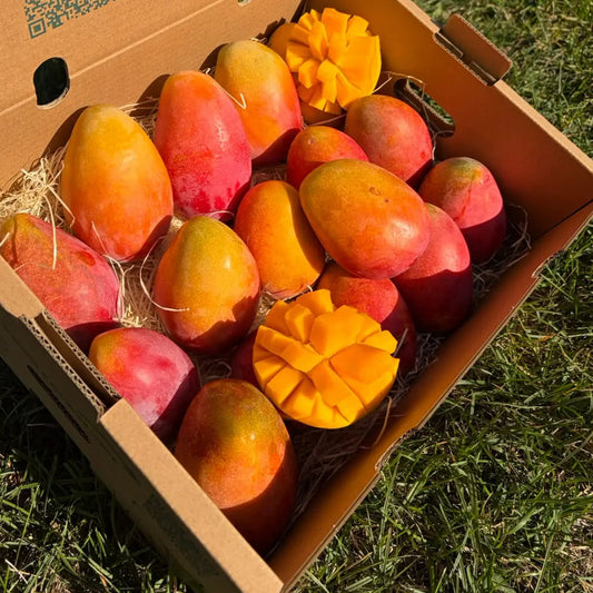 Mango Irwin BIO with red-blushed orange skin in a 5 kg Tropical Fruit Paradise box, two hedgehog-cut halves, fiberless flesh