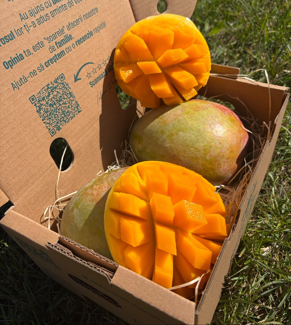 Mango Rosa BIO, rose-pink blush on green-yellow skin, 2 kg Tropical Fruit Paradise box, hedgehog-cut halves of orange flesh