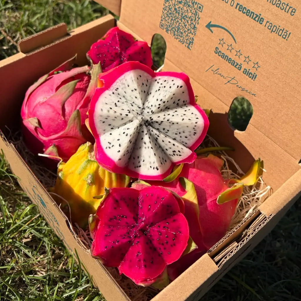 Dragon fruit mix: red- and white-flesh pitaya cut star-shaped and a whole yellow pitaya in a Tropical Fruit Paradise box