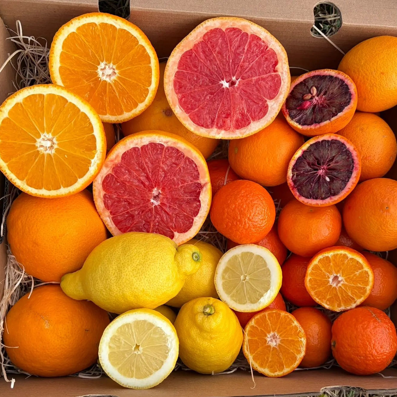 Assorted citrus fruit box featuring blood oranges, lemons, mandarins, and grapefruit, sliced open to show vibrant colors and freshness.