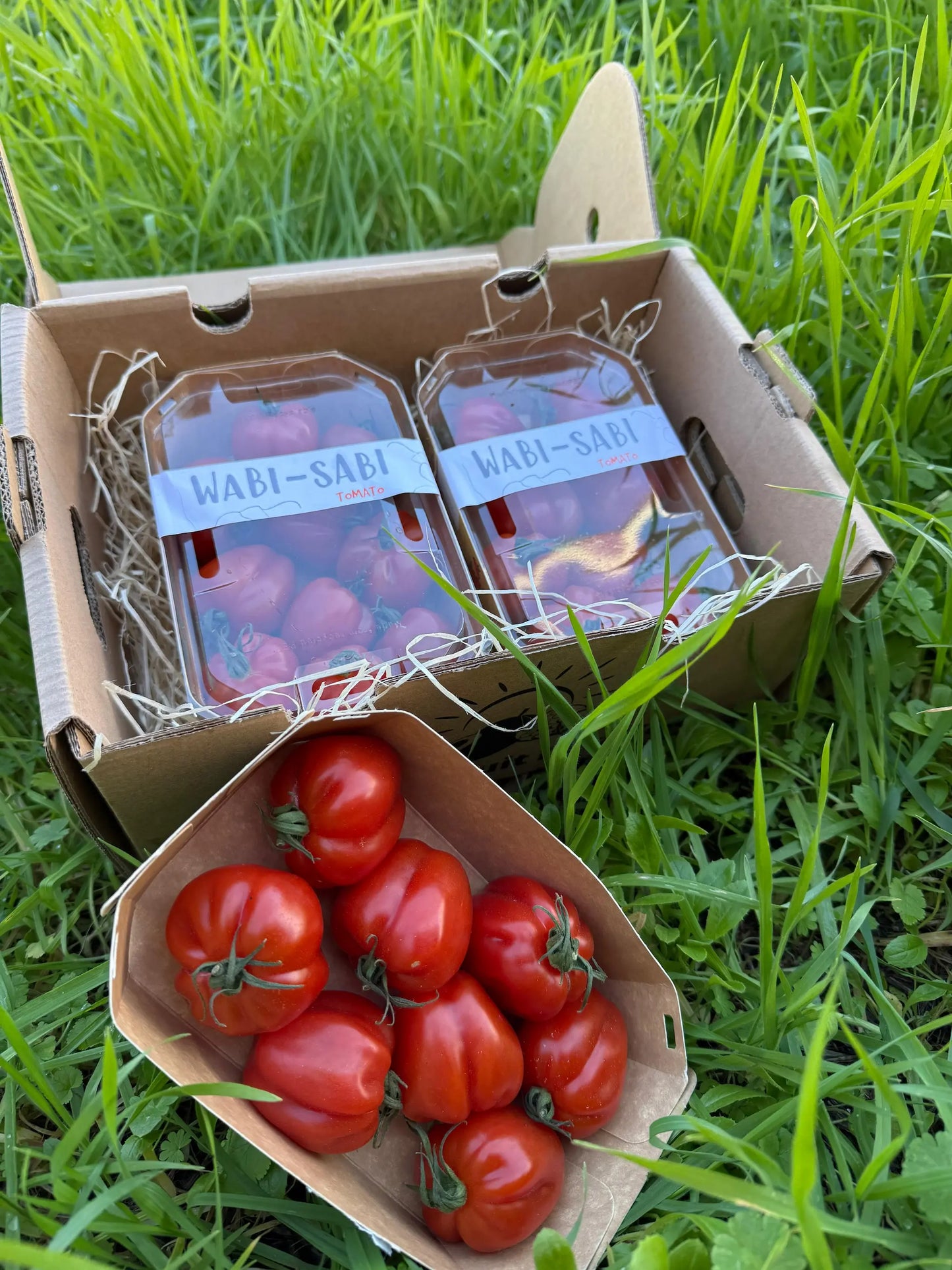 Roșii cherry roșii în formă de inimă în ambalaje ecologice Wabi-Sabi Tomato, așezate pe iarbă verde.