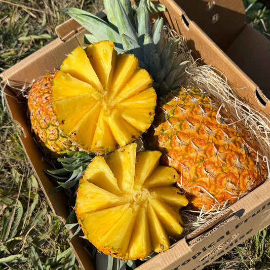 Pineapple in a cartoon box.