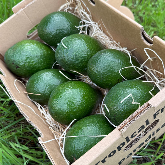 Avocados in a box
