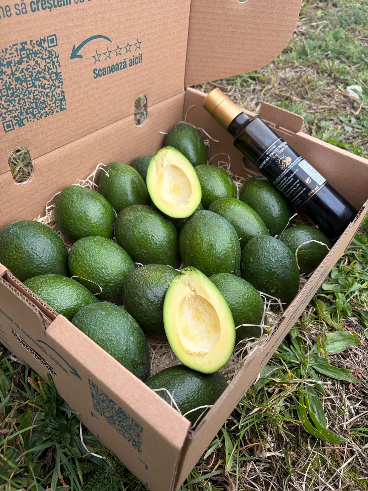Bacon Avocado