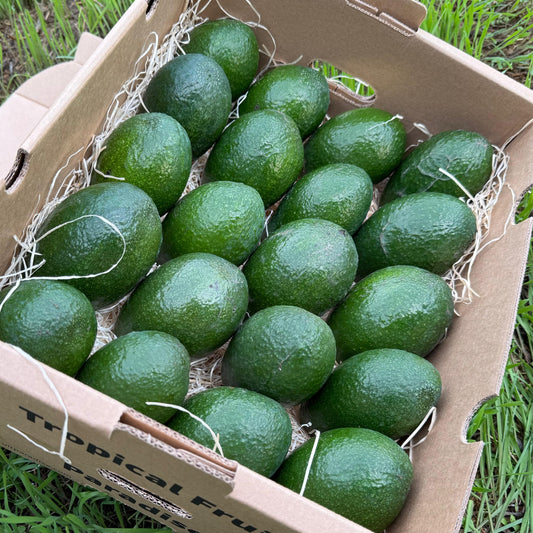 Box of green avocados on grass