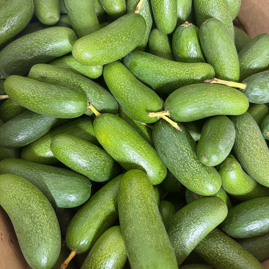 Box with Avocado cocktail. Avocado without seed.