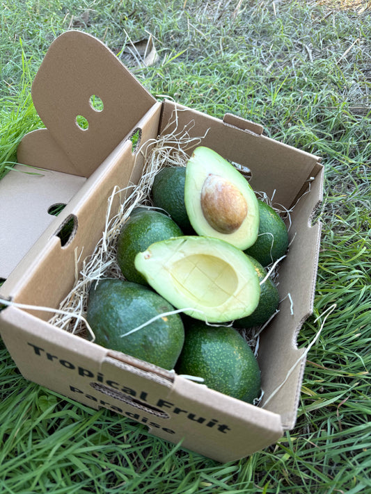 Avocado Ettinger