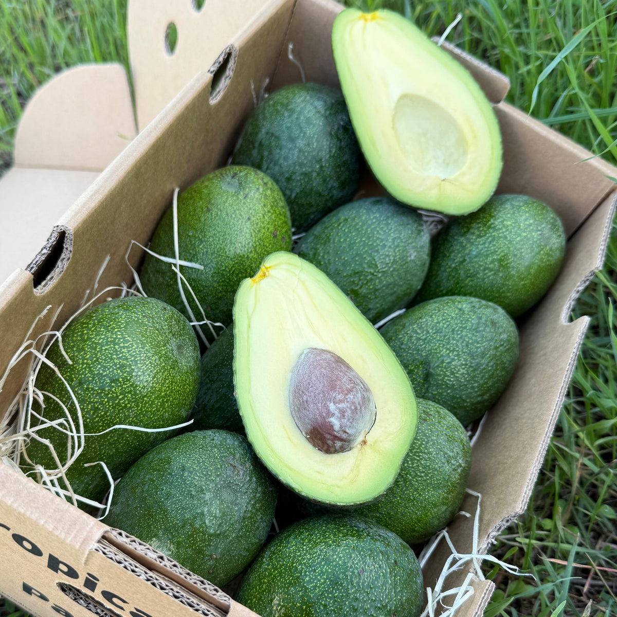 Box of avocados with one cut open on a grassy background