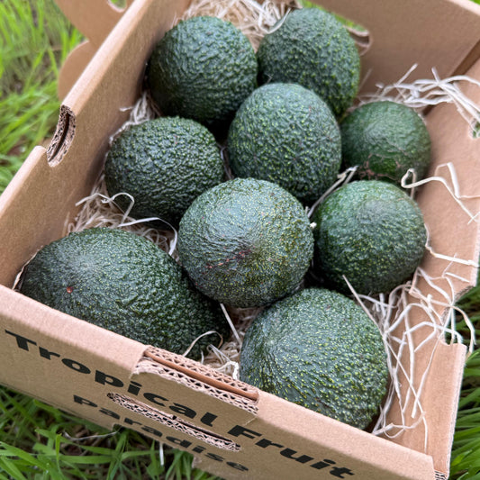 Box of avocados on grass