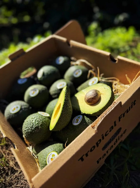 Pinkerton Avocado BIO