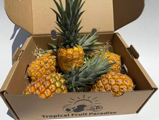 Ananas Costa Rica