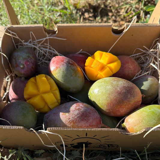 Box of osteen mangoes