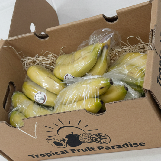 Baby bananas in a cartoon box
