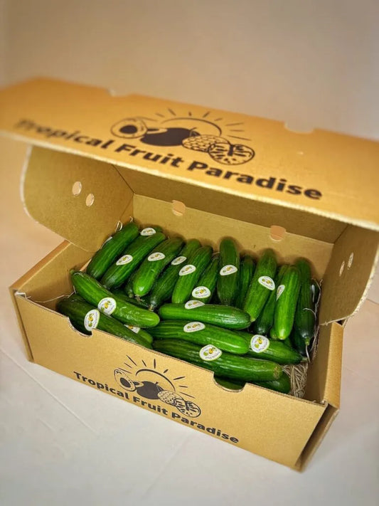 Cucumbers BIO