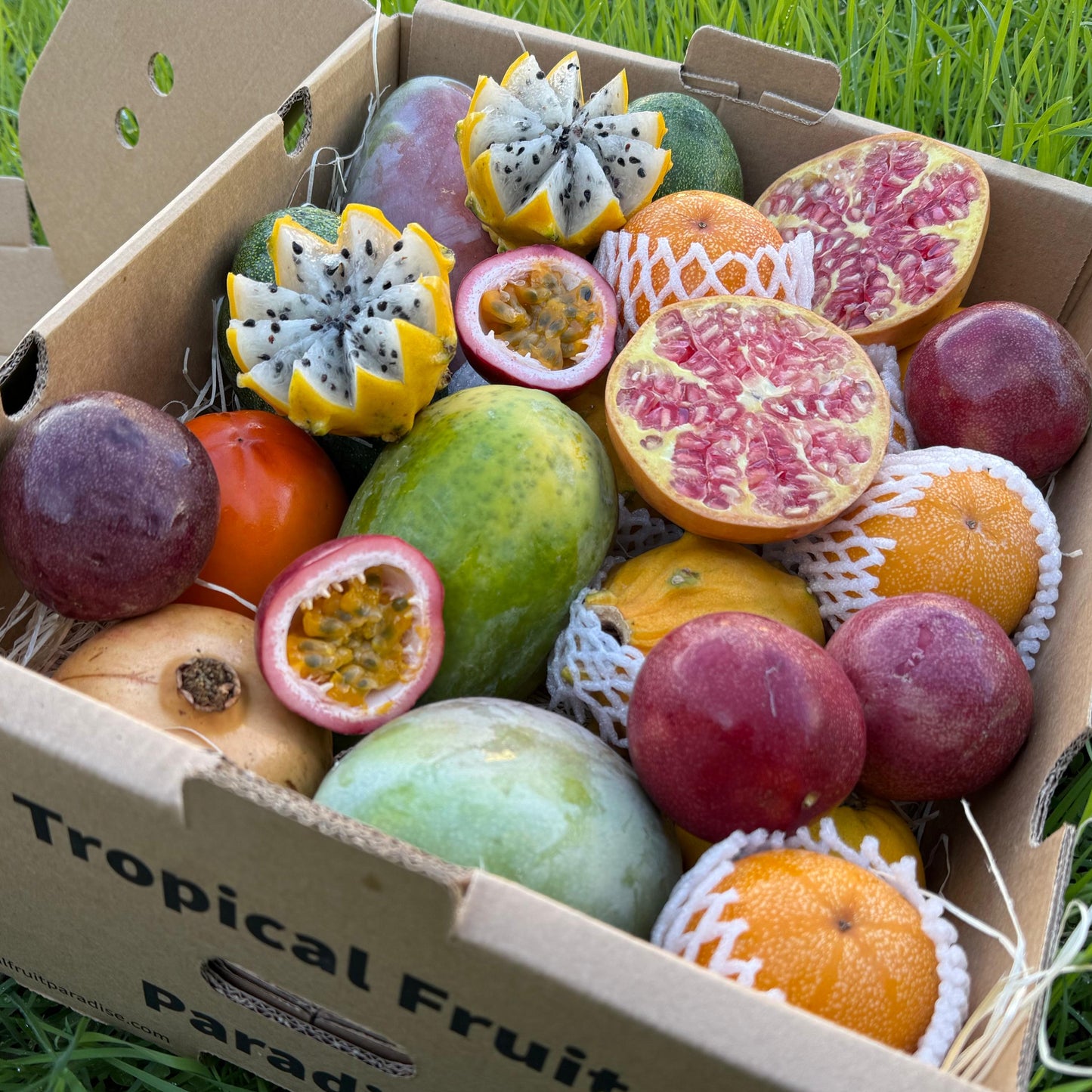 Box of tropical fruits on grass