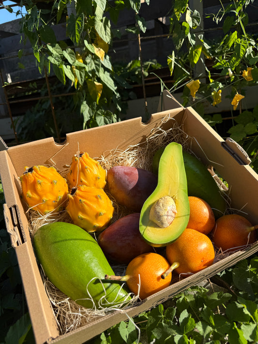 Exotic Fresh