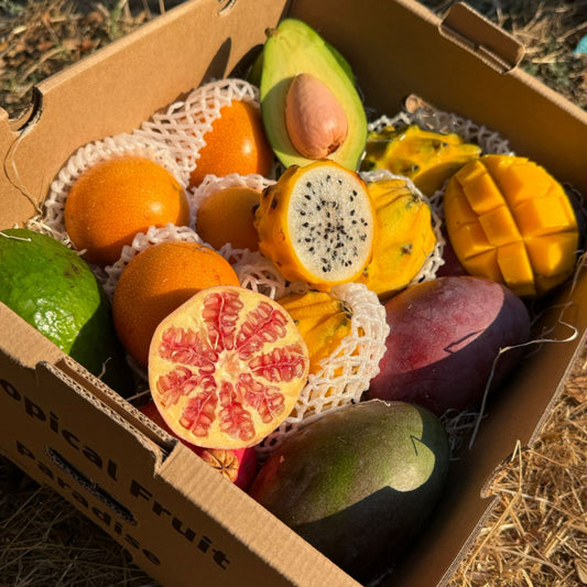 Box of assorted tropical fruits on a dry grass background