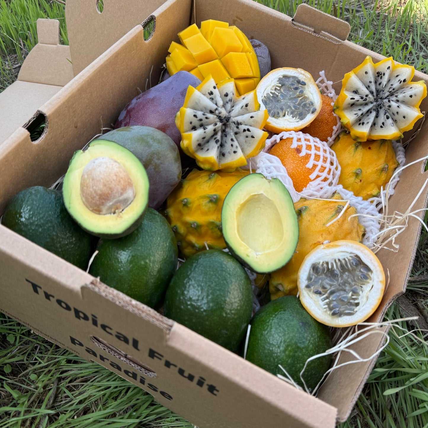 Box of tropical fruits including avocados and dragon fruits on grass