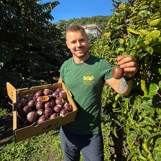 Man holding a box of passion fruits and a single fruit in an orchard