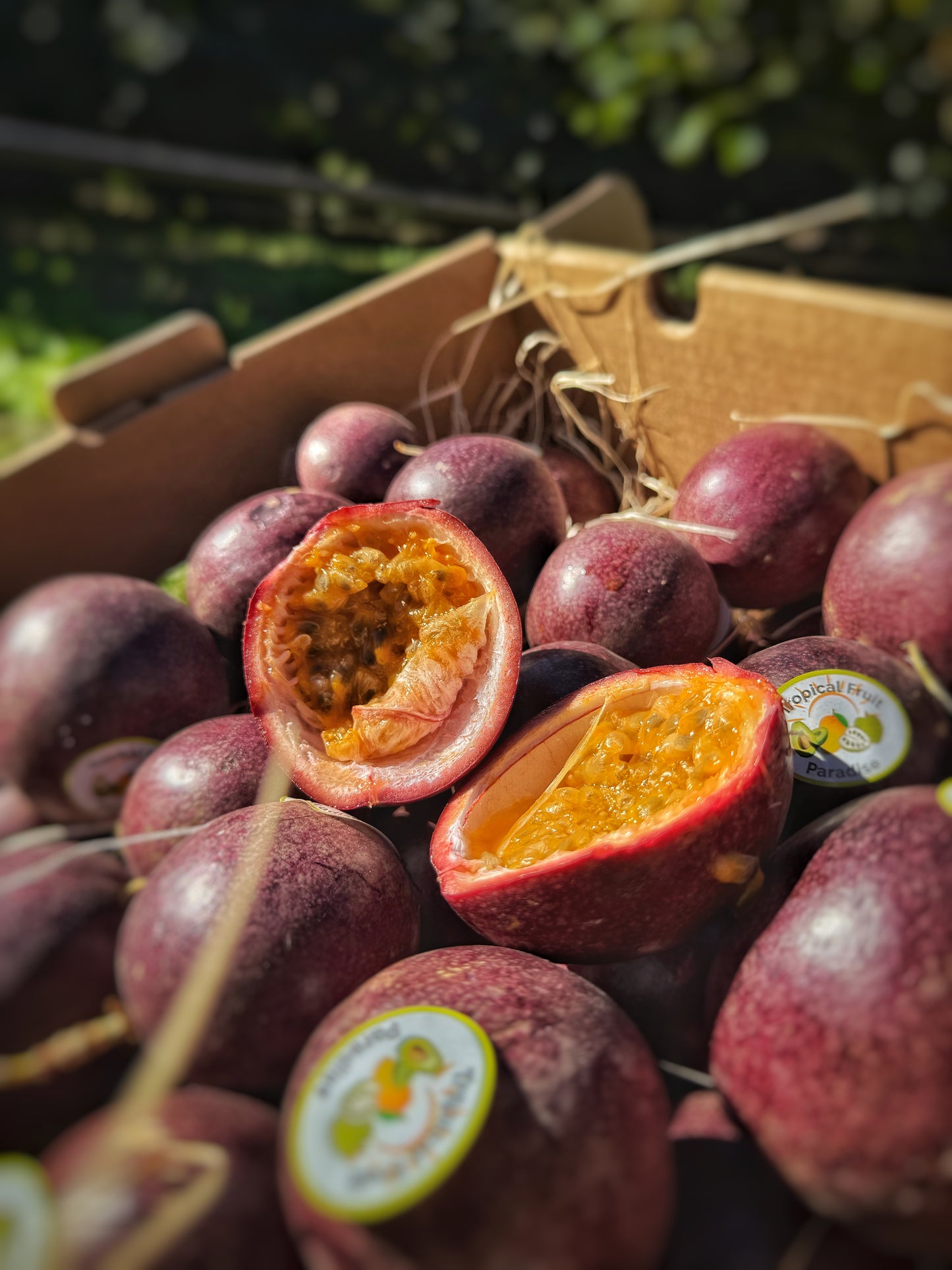 Passion Fruit
