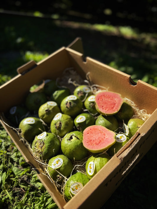 Brazilian Guava
