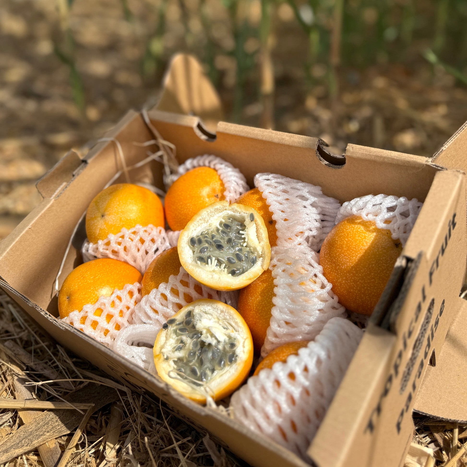 Box of granadilla with one cut open on a straw surface with plants in the background