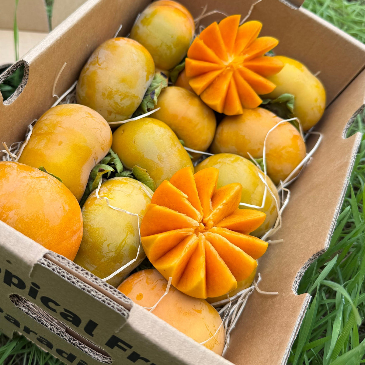 Box of kaki on the grass