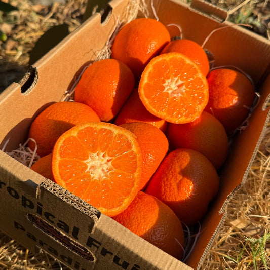 Box of mandarins 