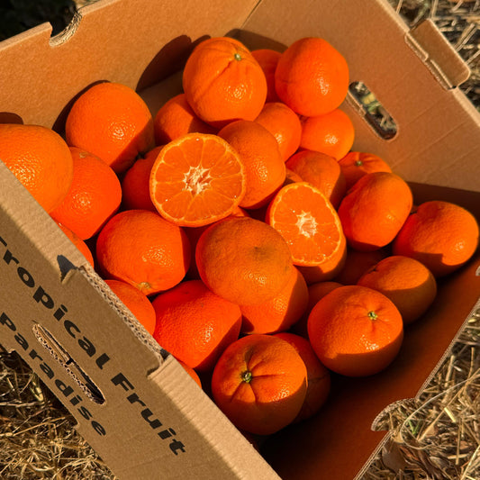Mandarin