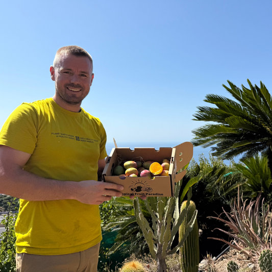 A man holding a box of fruits in a garden with cactus and palm trees.