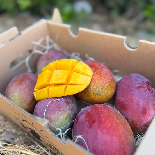 Box of mangos with a slice of mango on top, outdoors.